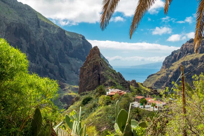 Tenerife Barranco de Masca