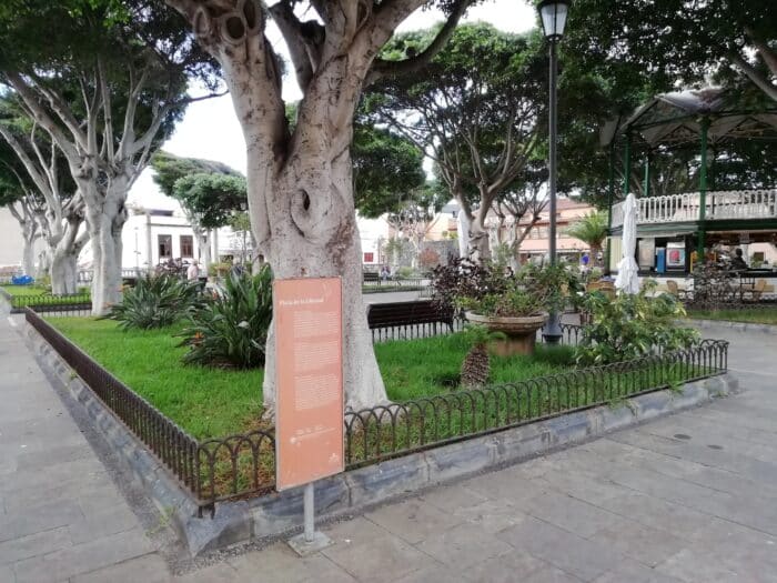 Plaza de Libertad Garachico