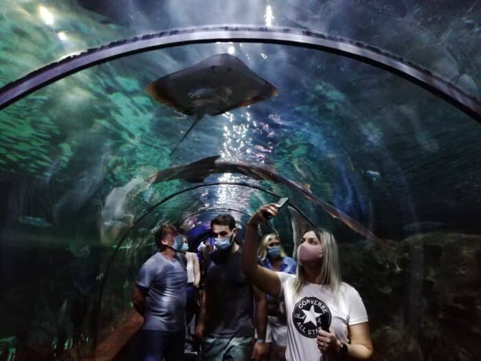 Podmořský tunel v Loro Parku na Tenerife