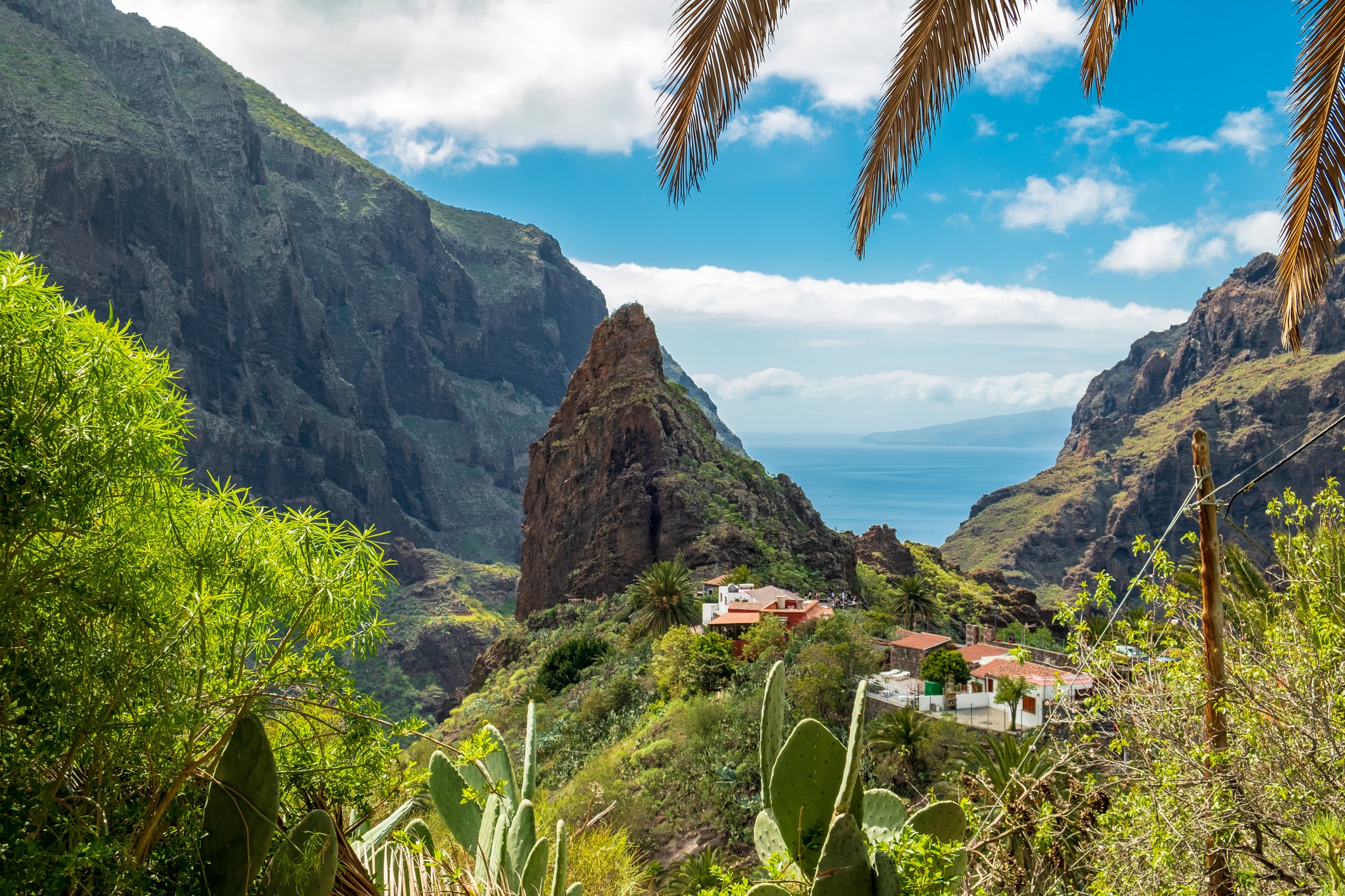 Masca Tenerife – horská vesnice obklopená dramatickými skalami pohoří Teno s výhledem na oceán, palmy a kaktusy v popředí.