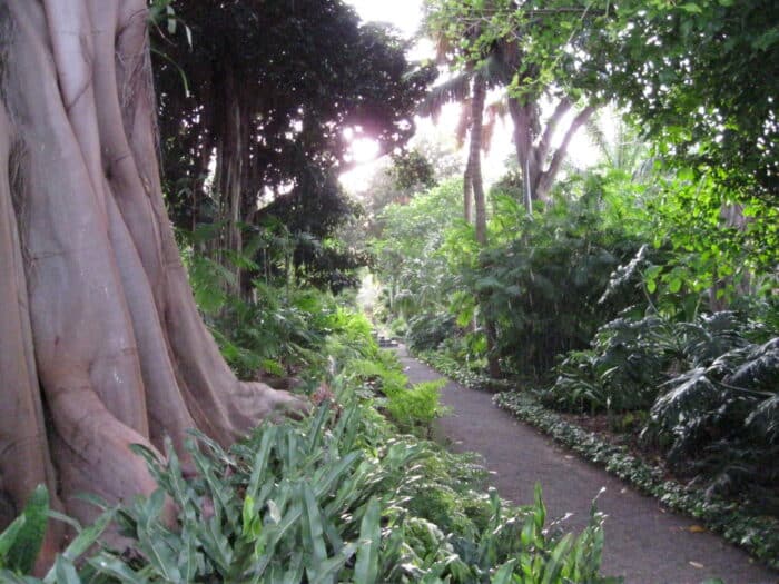Botanická zahrada v Puerto de la Cruz na Tenerife