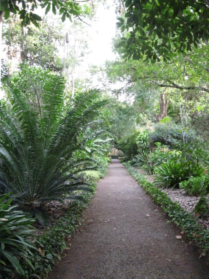 Cestička v botanické zahradě v Puerto de la Cruz na Tenerife